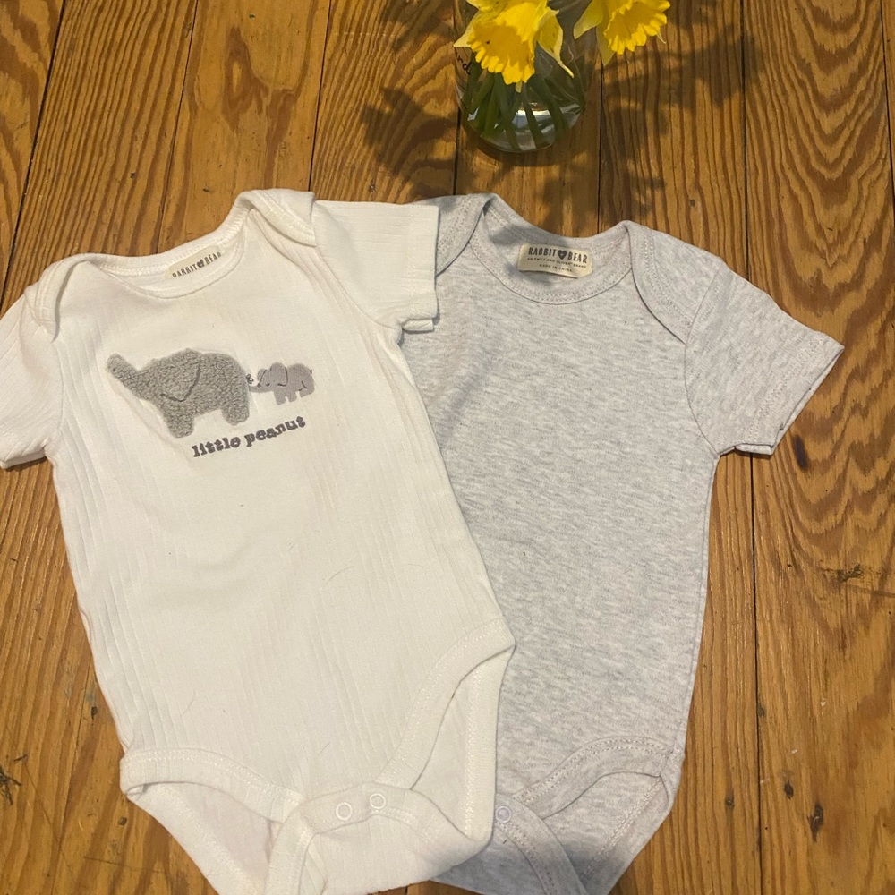 Rabbit Bear, Onsies, set of 2, Size 0-3